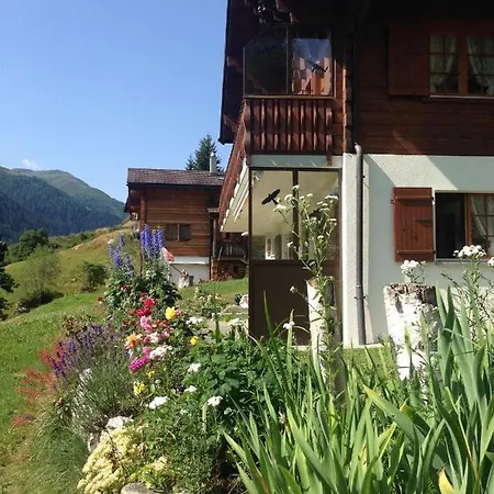 Bellwald Διαμέρισμα